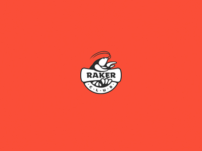 Raker Identity animation app application bachoo bachoodesign branding bright cancer clean design flat icon logo mobile mobile app mobile app design type typography vector