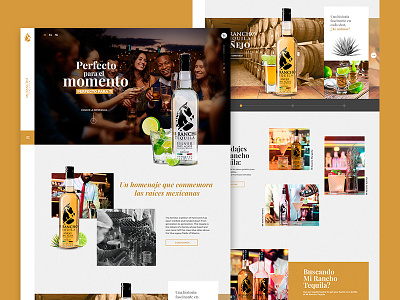 Tequila drink hero home mexico ui web webdesign