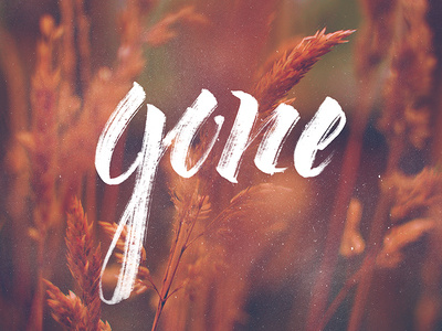 Gone