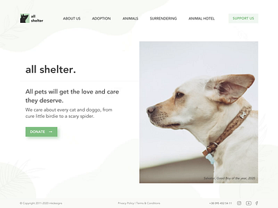Animals Shelter Landing Page web web design webdesign website