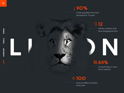 LION (social project)