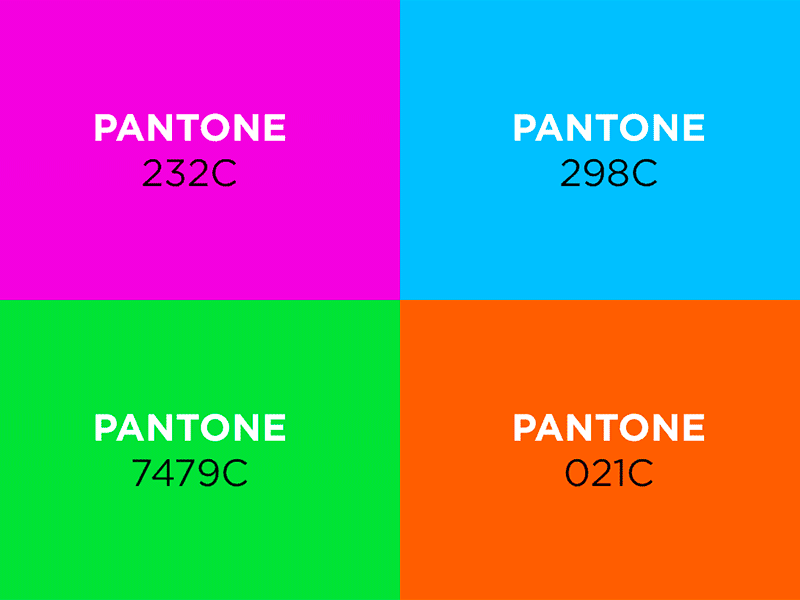 Color Palette colors colors palette colorscheme design geometry gotham identity pantone print rectangles
