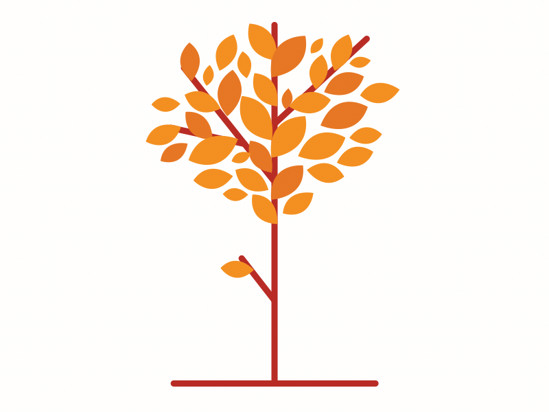 arbolito animation grow leaf offset tree