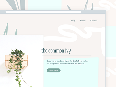 planterly | website landing e commerce pattern ui design web design