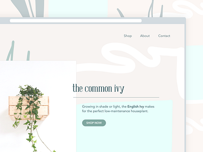 planterly | website landing