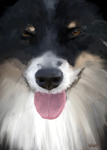 doggie portrait digital painting illustration