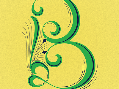 B calligraphic lettering typefight vector