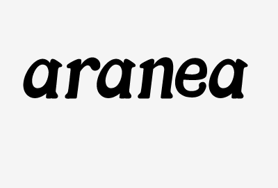 aranea, the name aranea typeface