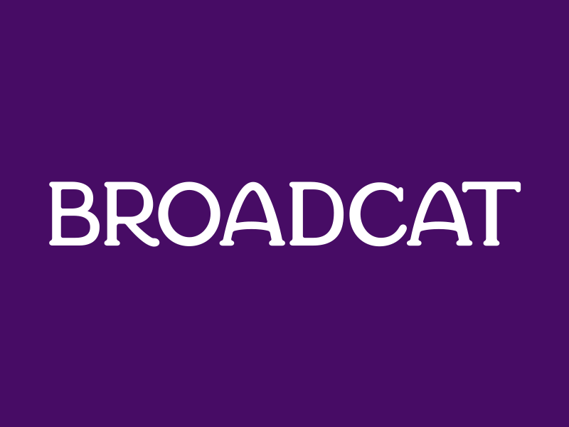 Broadcat wordmark typography lettering custom type wordmark logo