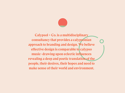 About Calypsol + Co