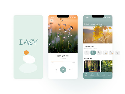 EASY Mobile App: iOS User Interface