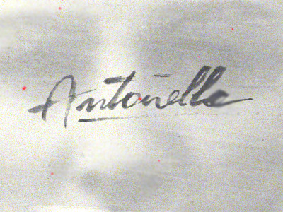 WIP_Graphic proposal antonella calligraphy