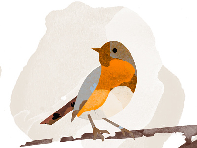 Bird Illustration 2d app photoshop sketch