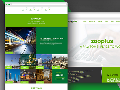 IT HR Website green hr it kosma poland