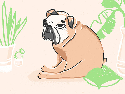 Chill like a dog animal bulldog dog illustration photoshop puppy