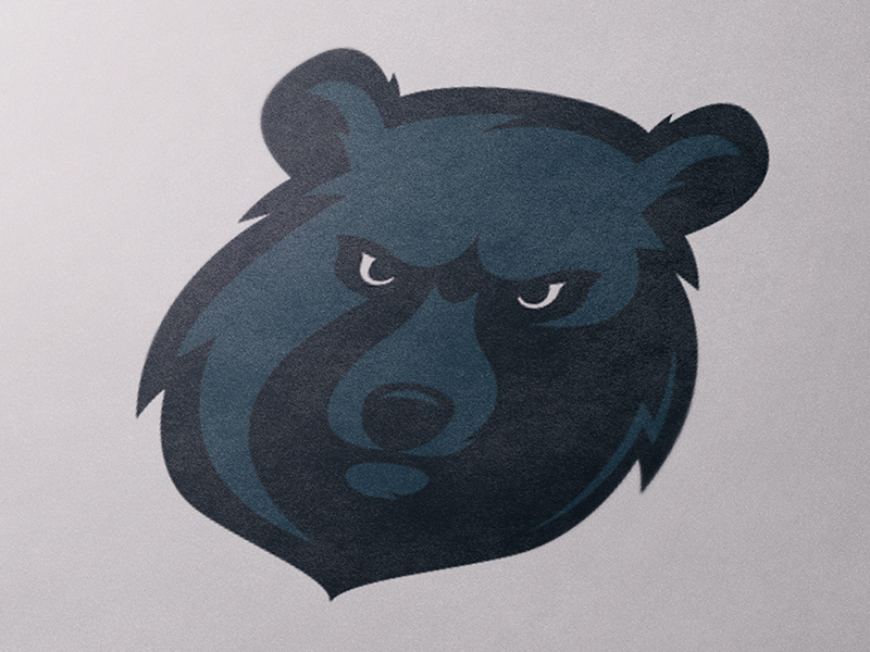 Angry Bear by Stefan Penezic on Dribbble