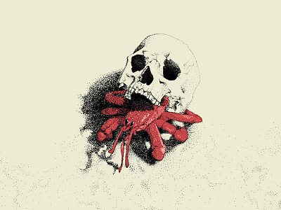 Skull Dwelling Hermit Crab