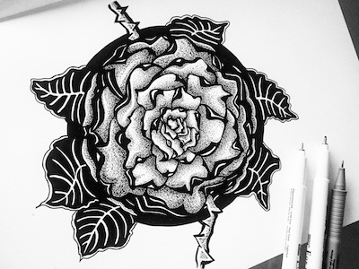 Rose art design details dots draw flower graphic hand drawing hand made illustration ink rose