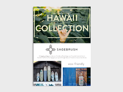 Sagebrush E-mail Newsletter brand identity branding concept email email banner email blast email campaign minimal minimal design minimalist promo simple surfboard surfboards typography ui ux