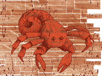 Throwaway Youth: Hermit Crab animal illustration book illustration coloring illustration inking photoshop