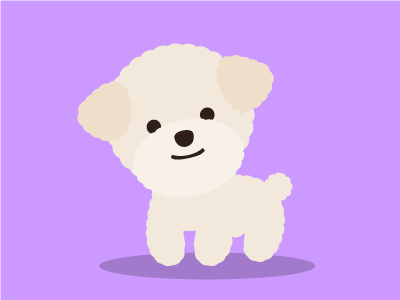 Poodle 03