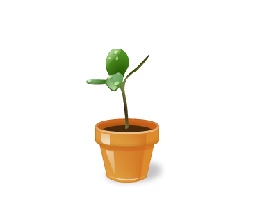 sprout illustration plant sprout