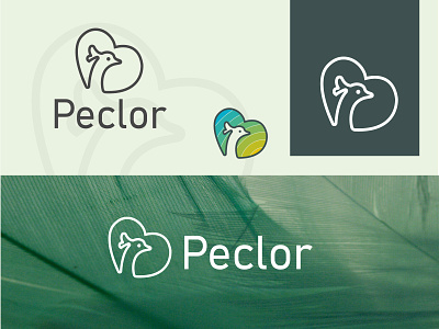 Peclor is a online Brand. branding creative dmarkecy graphic design online peclor piatfrom
