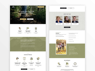 Finance Website Design homepage design webdesign website