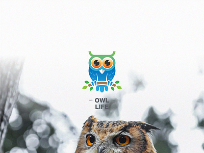 Owl Logo abstract animal branding colorful design illustration internet logo modern owl simple