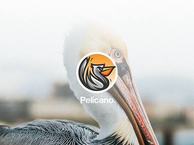 Pelican abstract animal beak bird black duck branding character design logo pelican