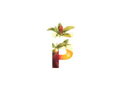 Press Public House bar bloom cocktail drink fresh fruit juice logo mark press type typography