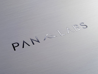 Pan Labs brand branding labs light logo outdoor technology