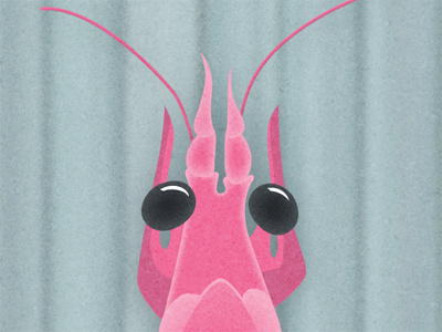 Shrimpy illustration pink scampi shrimp