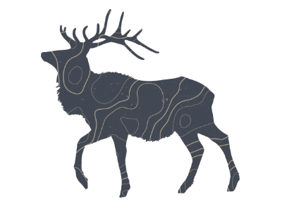 Elk animal caribou design flat illustration nature photoshop texture wild