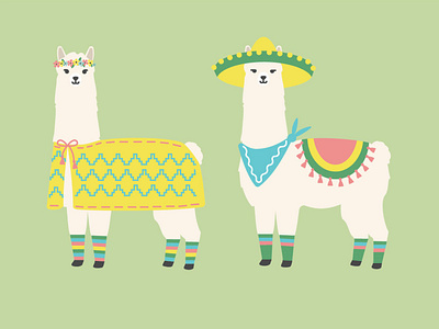 Alpacas