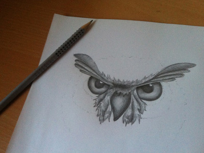 Owl drawing owl pencil