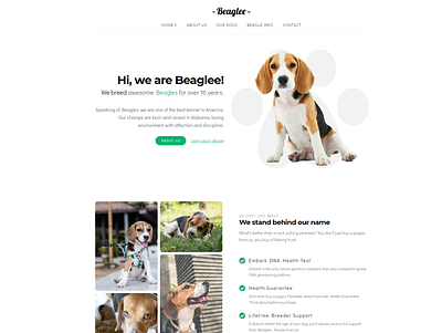 Kariboo Kennel -WP Dog Breeder branding design pet theme pet web design web webdesign website wordpress wordpress theme wordpress themes
