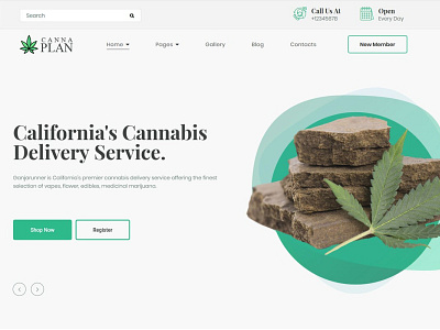 Medical Marijuana Dispensary Theme