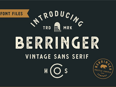 Berringer - Vintage Type Family