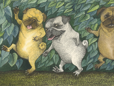 Where The Wild Pugs Are animals children illustration pug