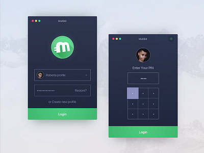 Multi Profile Bitcoin Desktop App Log In Screens application bitcoin dashboard login mac apps mac os signin ui ux user experience user interface wallet web app