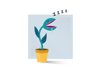 Snoozin' nap plant sleep snooze