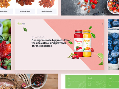 Organic rose-hip juices creative design creativv landingpage website