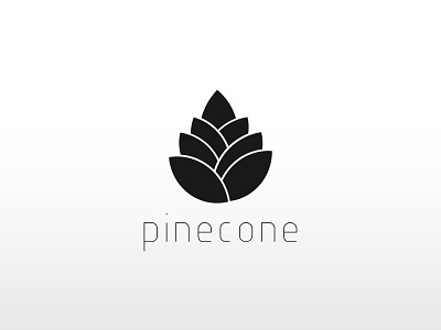 CONE branding design graphic design icon illustration logo vector