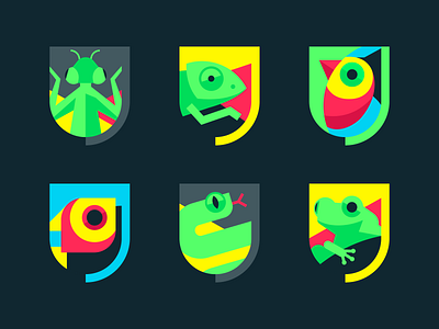 Urban Jungle Shields animal bird branding chameleon colourful fffabs fortnight frog illustration jbdotco logo parrot reptile shield snake ui ux web