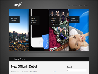 SkyX company website cms content graphics visual wordpress