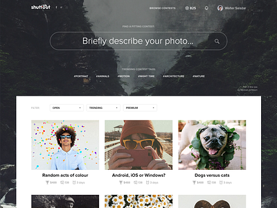 Shuttout Contests Page background forest grid home landing photo search tags ui ux web