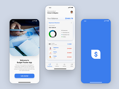 Budget Tracker App UI branding graphic design illustration mobile app mobiledesign swift web design xd