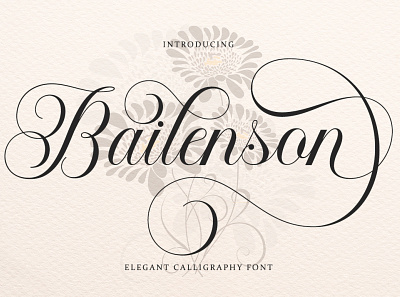 Bailenson banner graphic design script fonts valentine fonts wedding