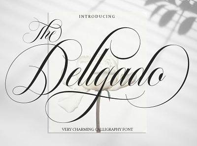 The Dellgado banner branding fonts chocolate fonts design graphic design illustration logo script fonts valentine fonts wedding